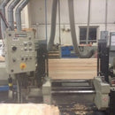 Used Friulmac Dual Feed Double End Trim Saw and Moulder Feeder - Detail 3